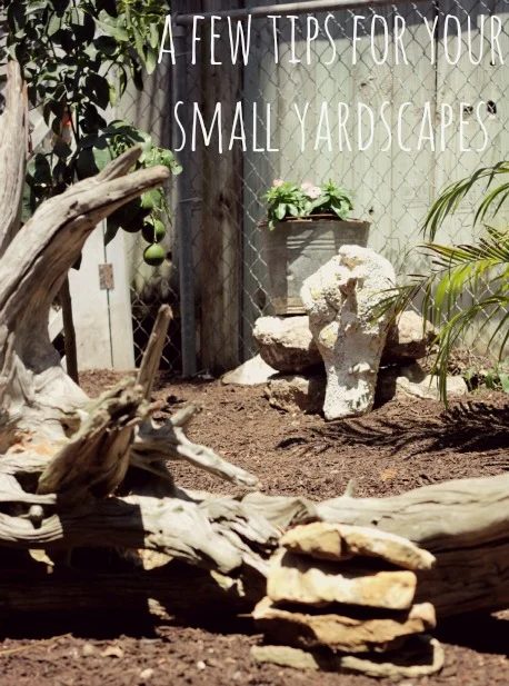 small yard tips