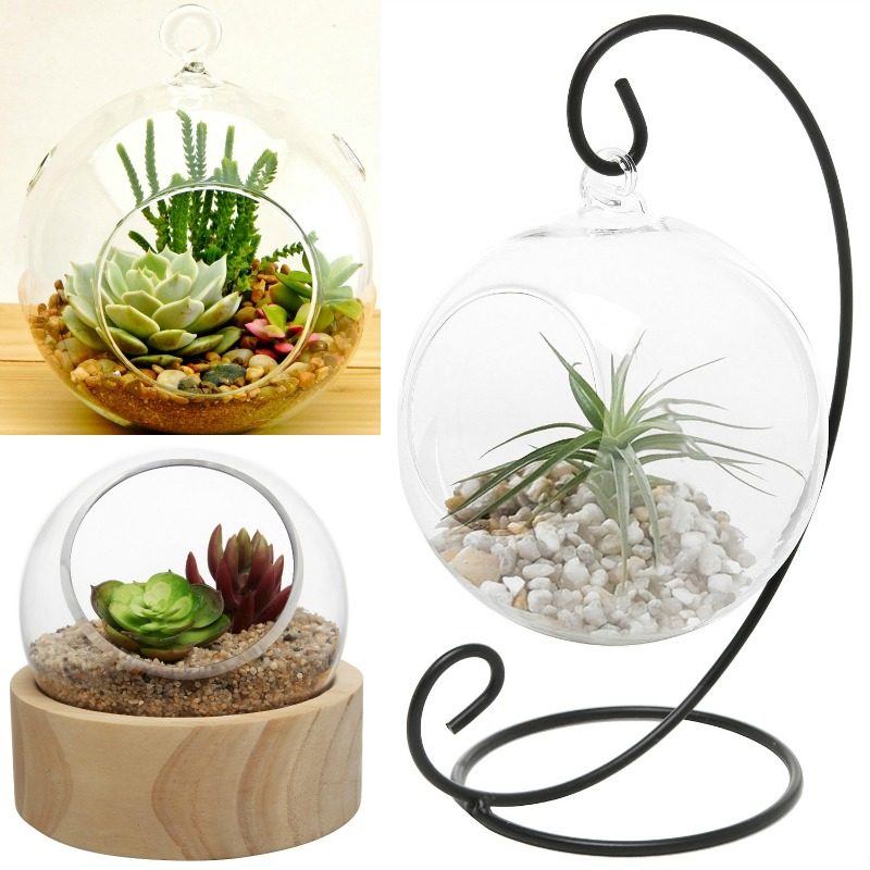 Decorative Terrariums @Bekob