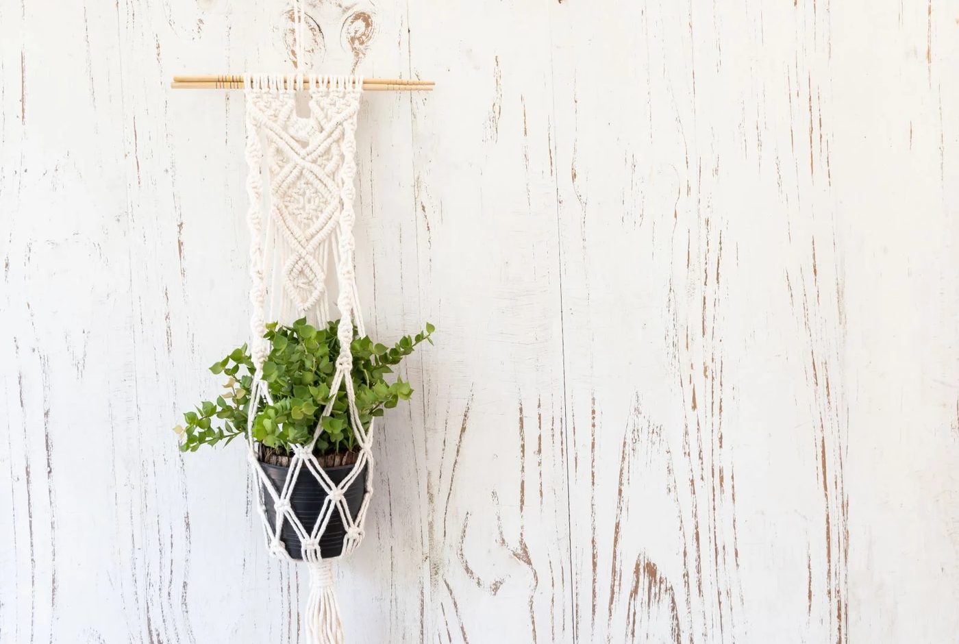 Macrame Planter