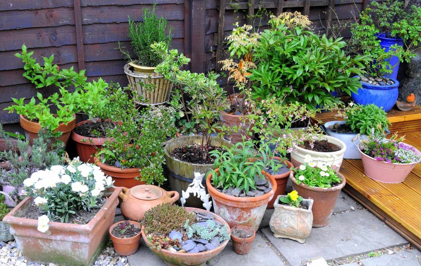 Blossom and Grow: 10 Handmade Flower Planters to Elevate Your Garden!
