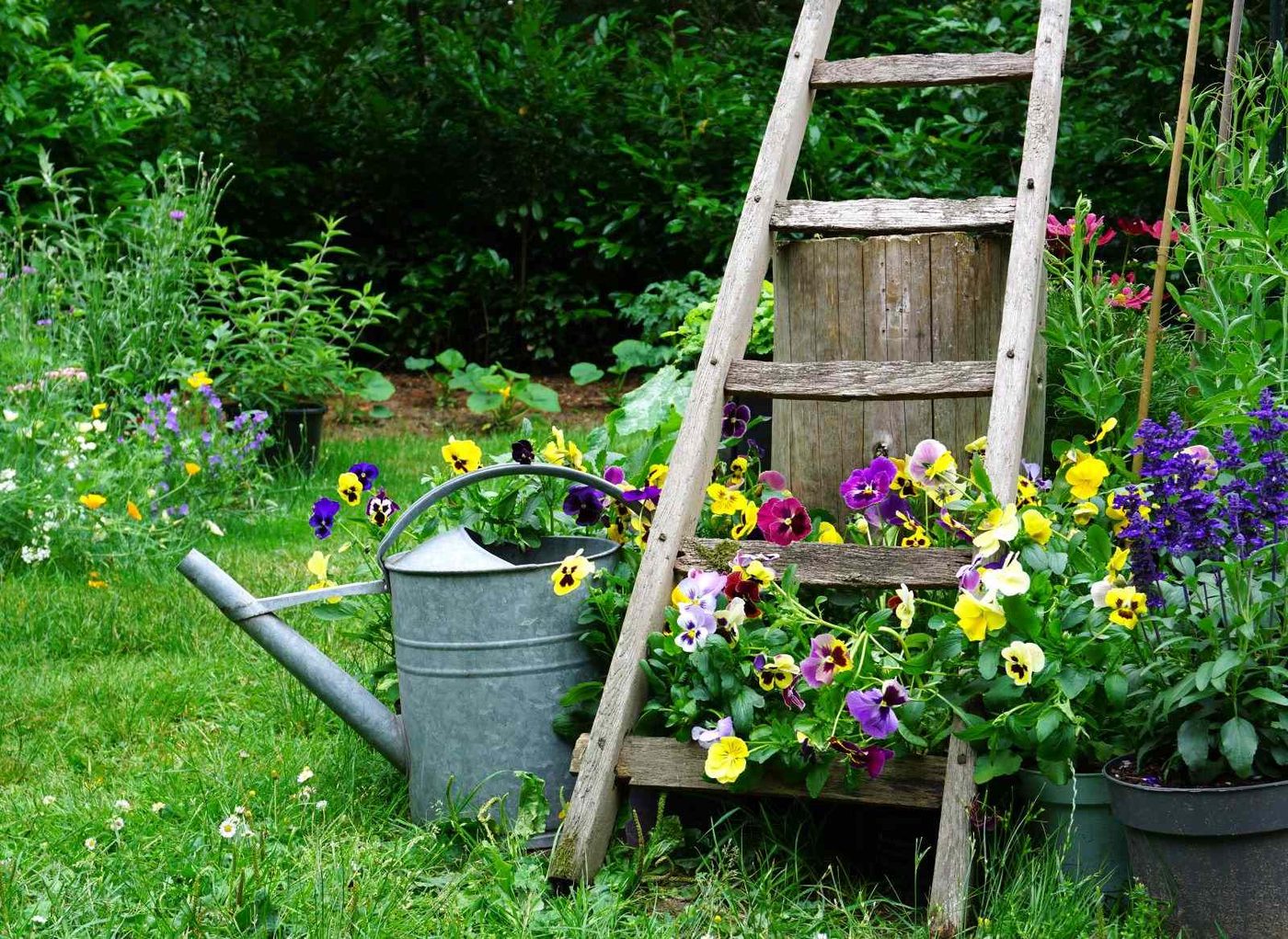 Ladder Garden