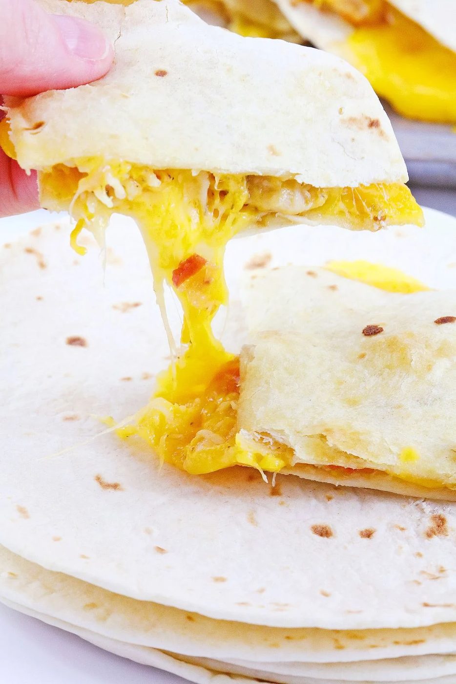 Air Fryer Chicken Quesadillas 1