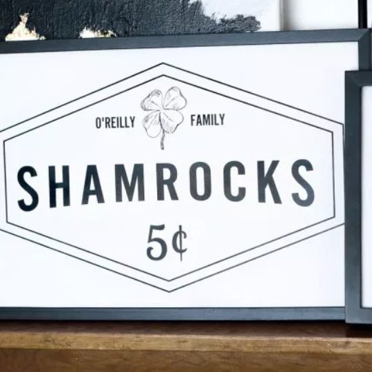 3.3 Customized Family Name With Shamrocks Sign