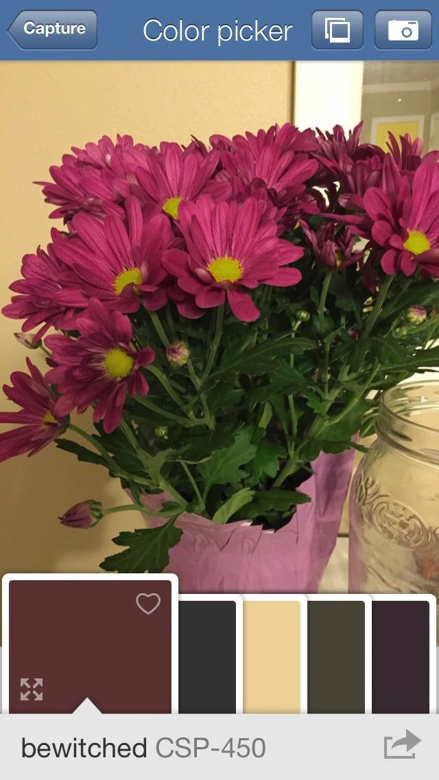 Benjamin Moore Color Capture - Free iPhone App to Choose Paint Colors from a Photo @Bekob
