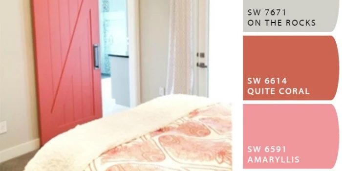 Apps to Match and Find Paint Color Palettes from a Photo