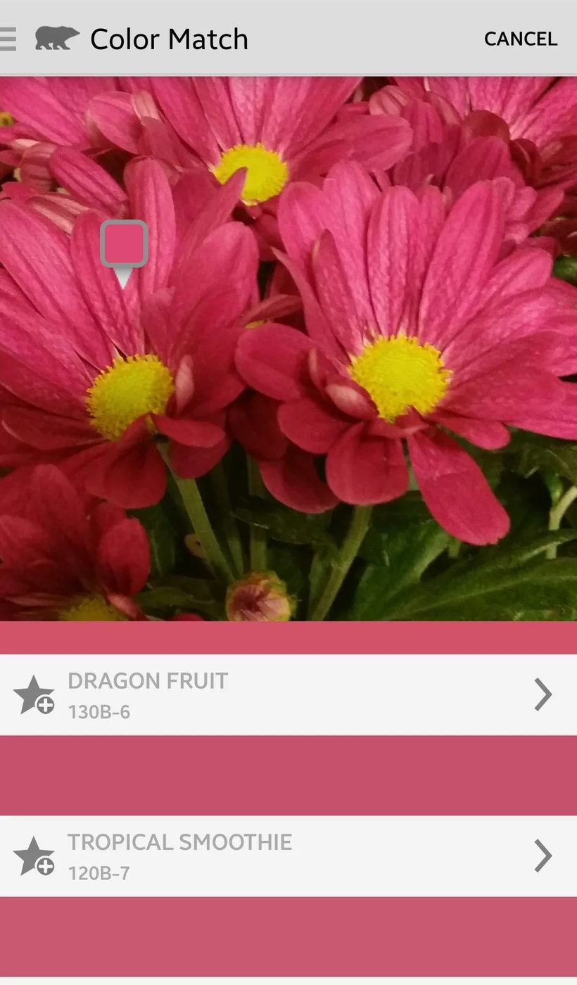 Behr Color Match - Free Android Handmade App to Pick a Paint Color from a Photo @Bekob