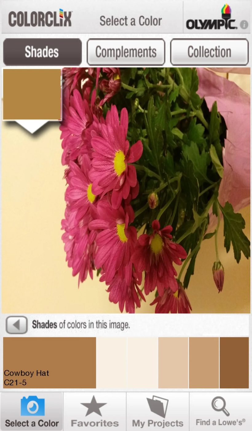 ColorClix by Olympic - Free Android Handmade App to Find a Paint Color Based on a Photo @Bekob