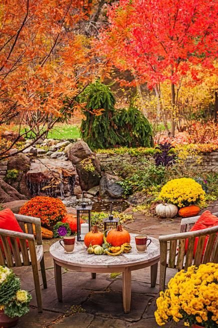 Autumn Patio Inspiration 7