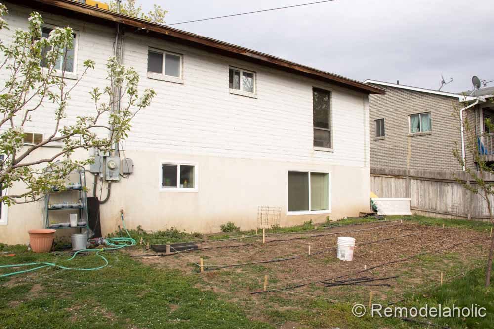backyard before pictures-4