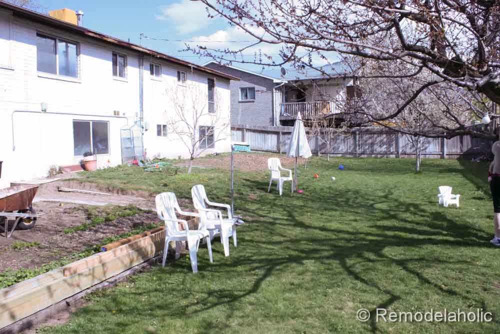 backyard before pictures