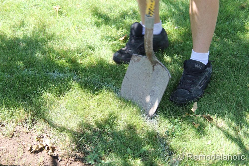 Mulch Weed Control Around Trees-3