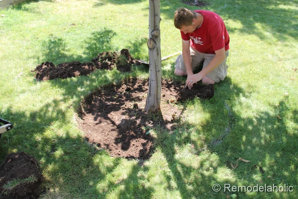 Mulch Weed Control Around Trees-4