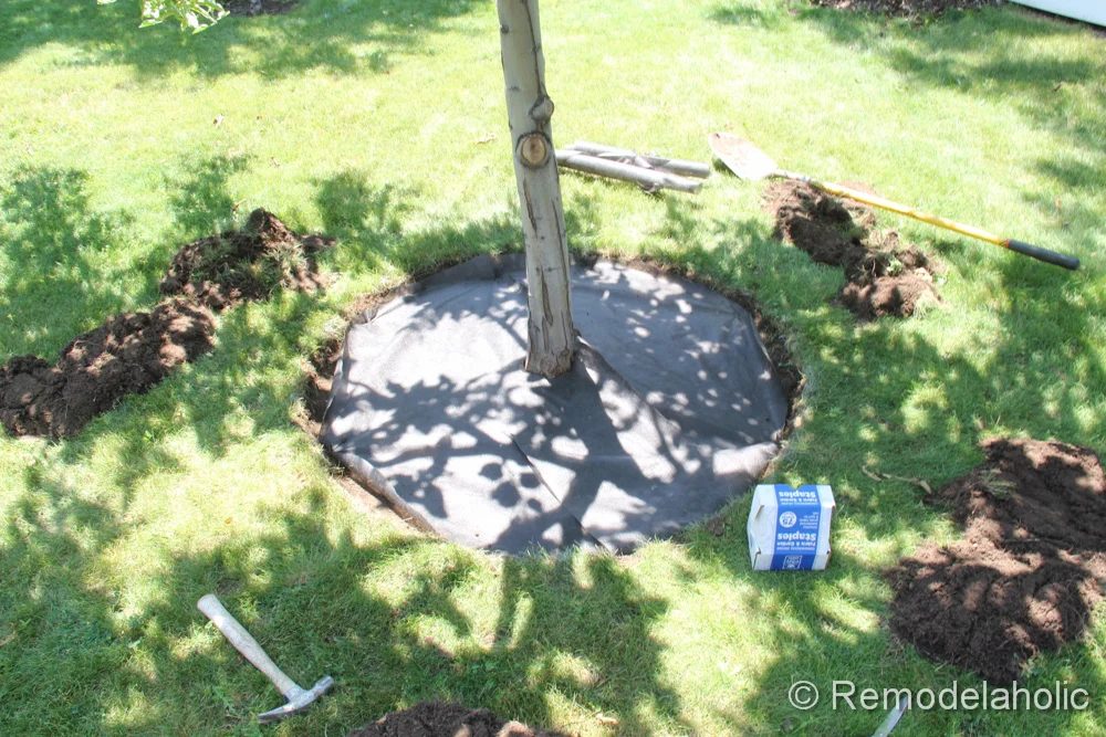 Mulch Weed Control Around Trees-7