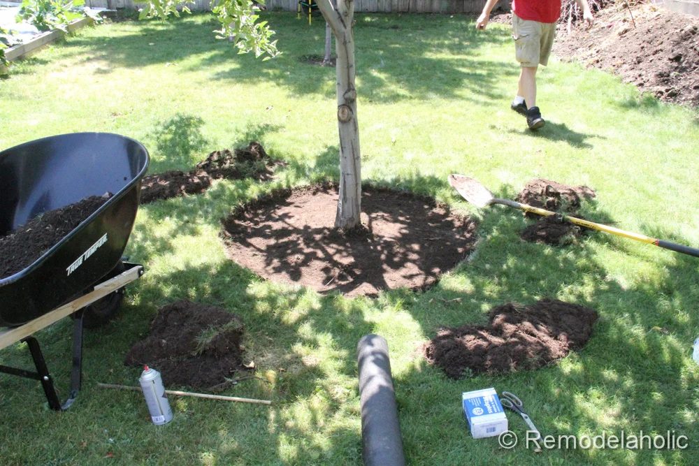 Mulch Weed Control Around Trees-5
