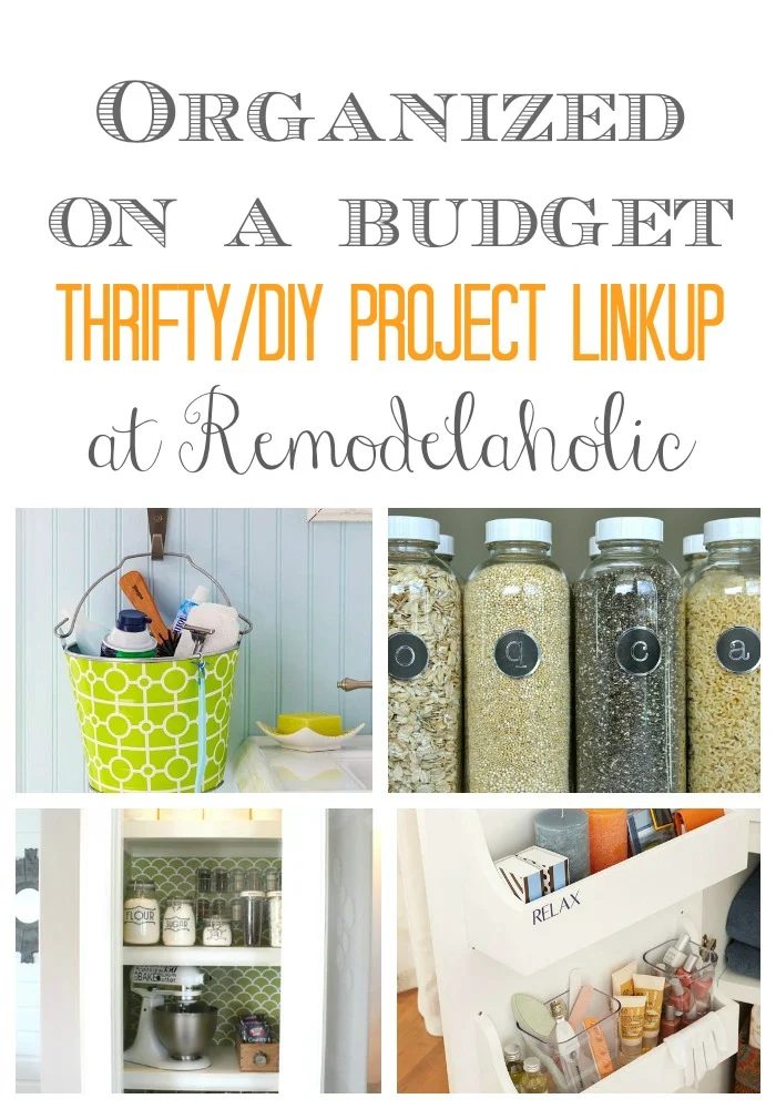 Organization Linkup Pin Pic