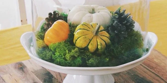 striking and straightforward Pumpkin Tablescape options for Halloween and Thanksgiving
