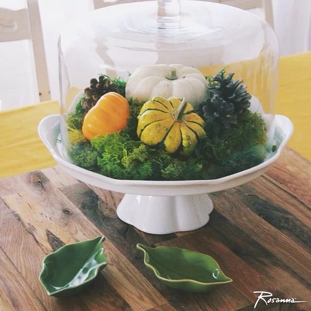 pumpkin terrarium under glass cloche by rosannastable