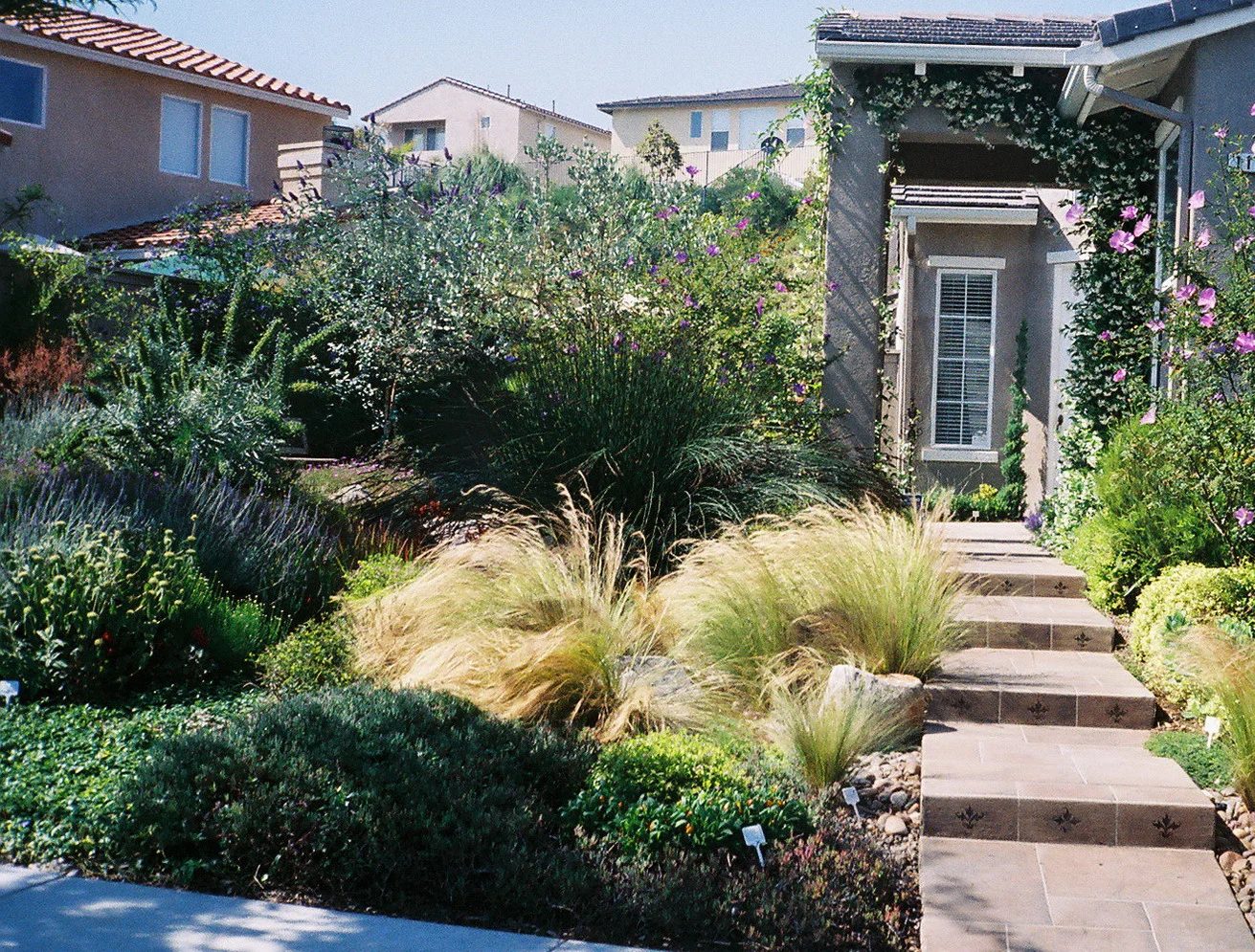 striking Water Wise Backyard (17)