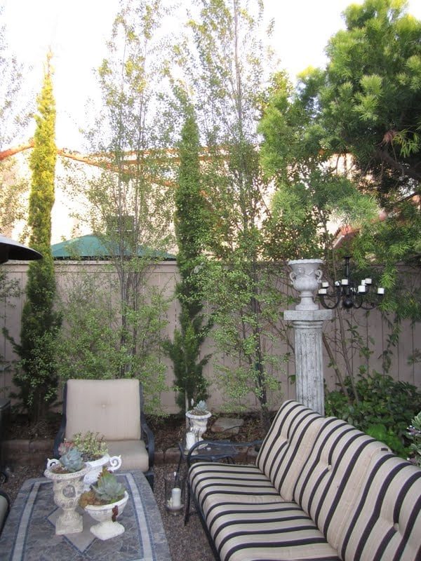 striking Water Wise Backyard (21)
