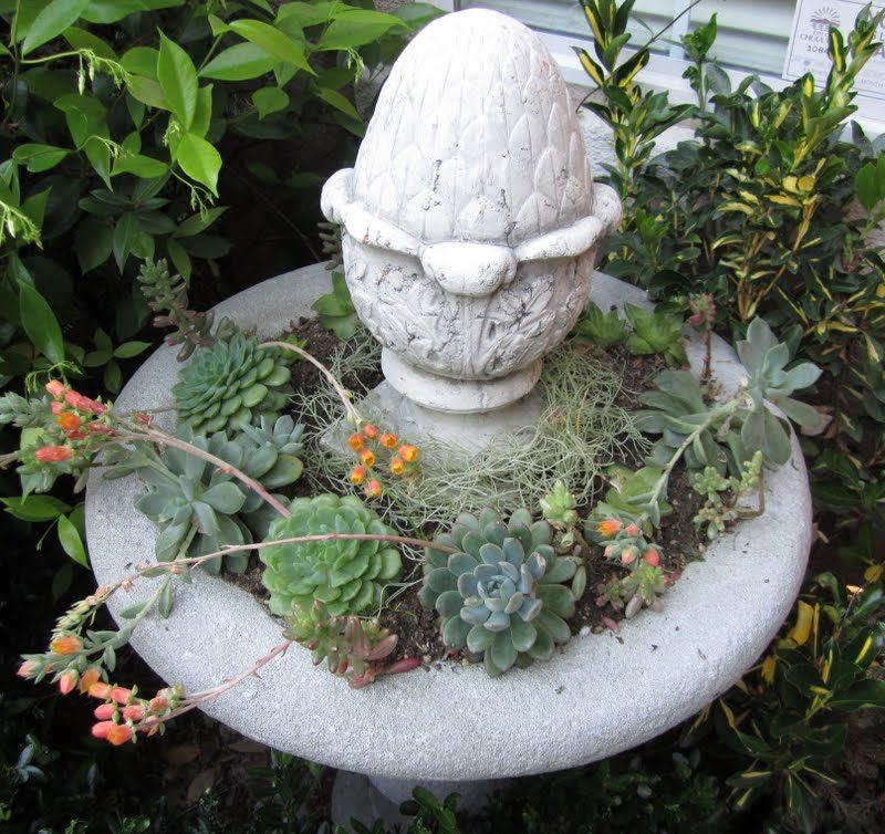 striking Water Wise Backyard (1)