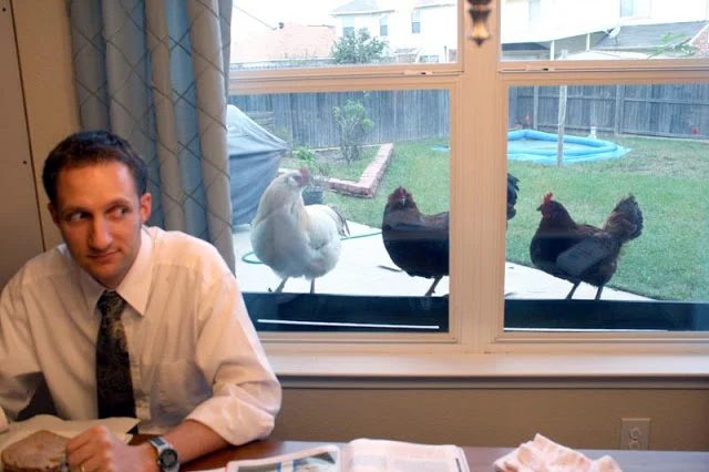 Being Watched…