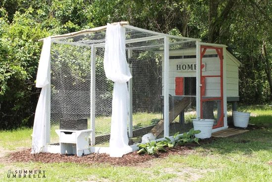rustic-chicken-coop-23