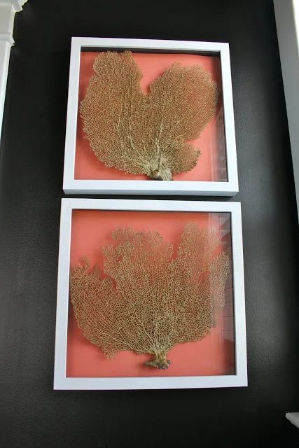 Dwellings by Devore framed coral