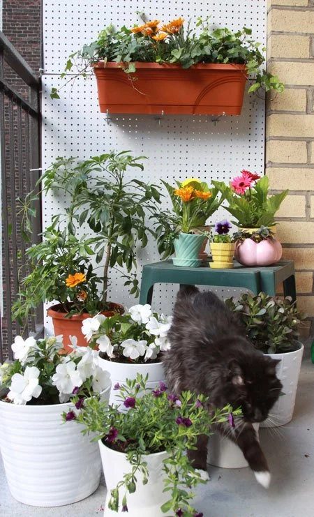 Vertical Garden