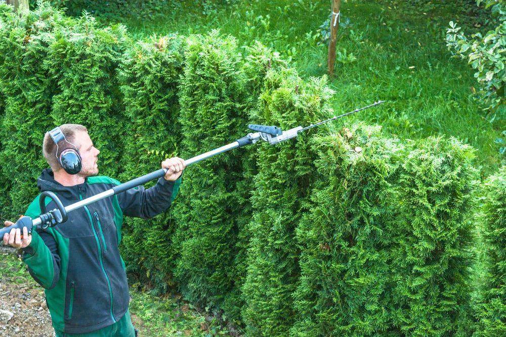 Cutting A Hedge