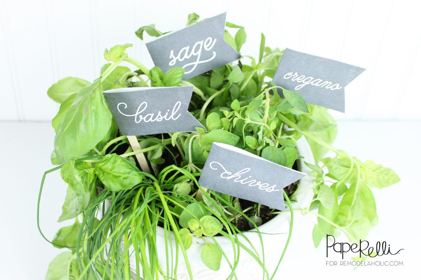 Herb Garden Chalkboard Labels