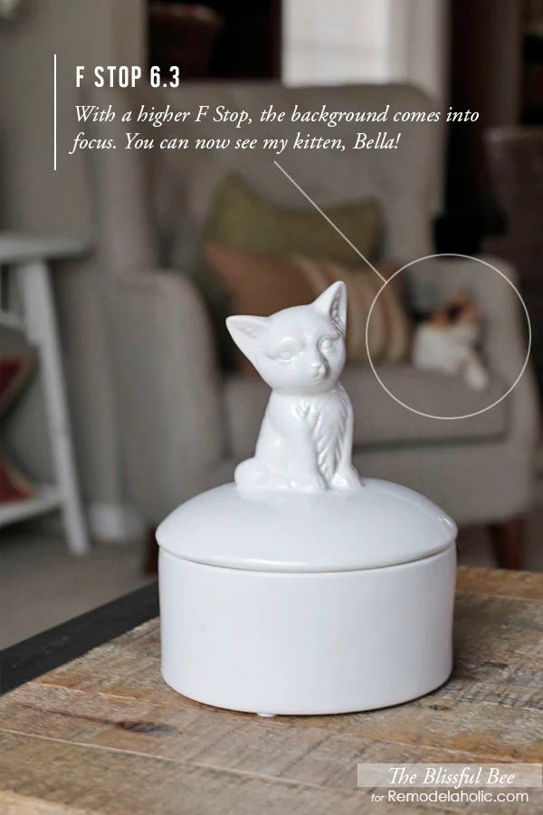 How to Get a Blurred Background in Your Photos | The Blissful Bee Blog on Bekob.com