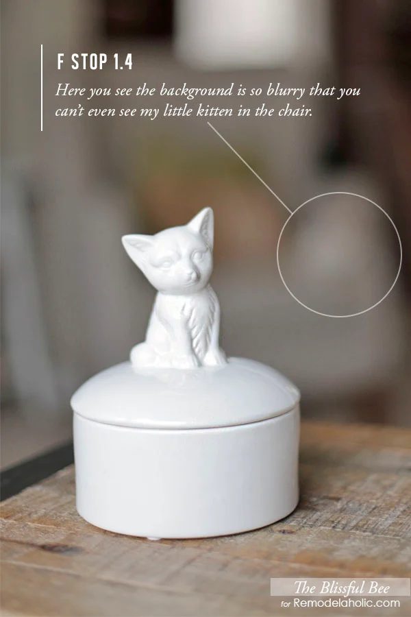 How to Get a Blurred Background in Your Photos | The Blissful Bee Blog on Bekob.com