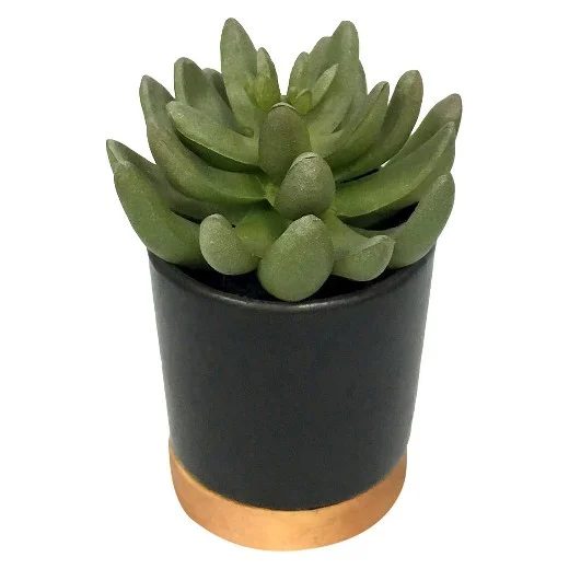 Bold Bathroom Design 11 Faux Plant