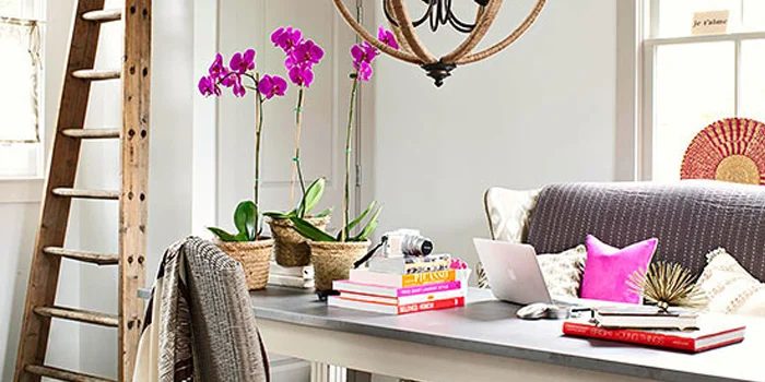 Get This Look: Bold Study and Home Office