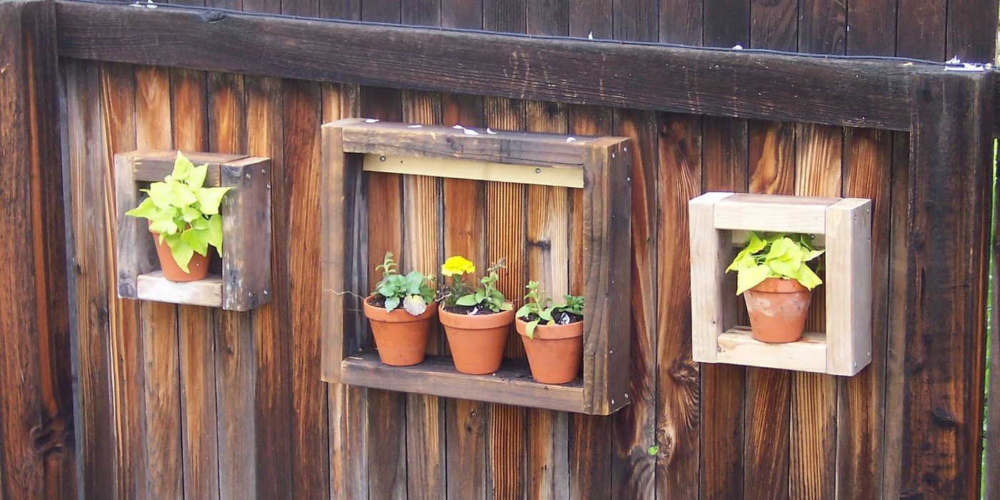 Boxer; Garden Display Box