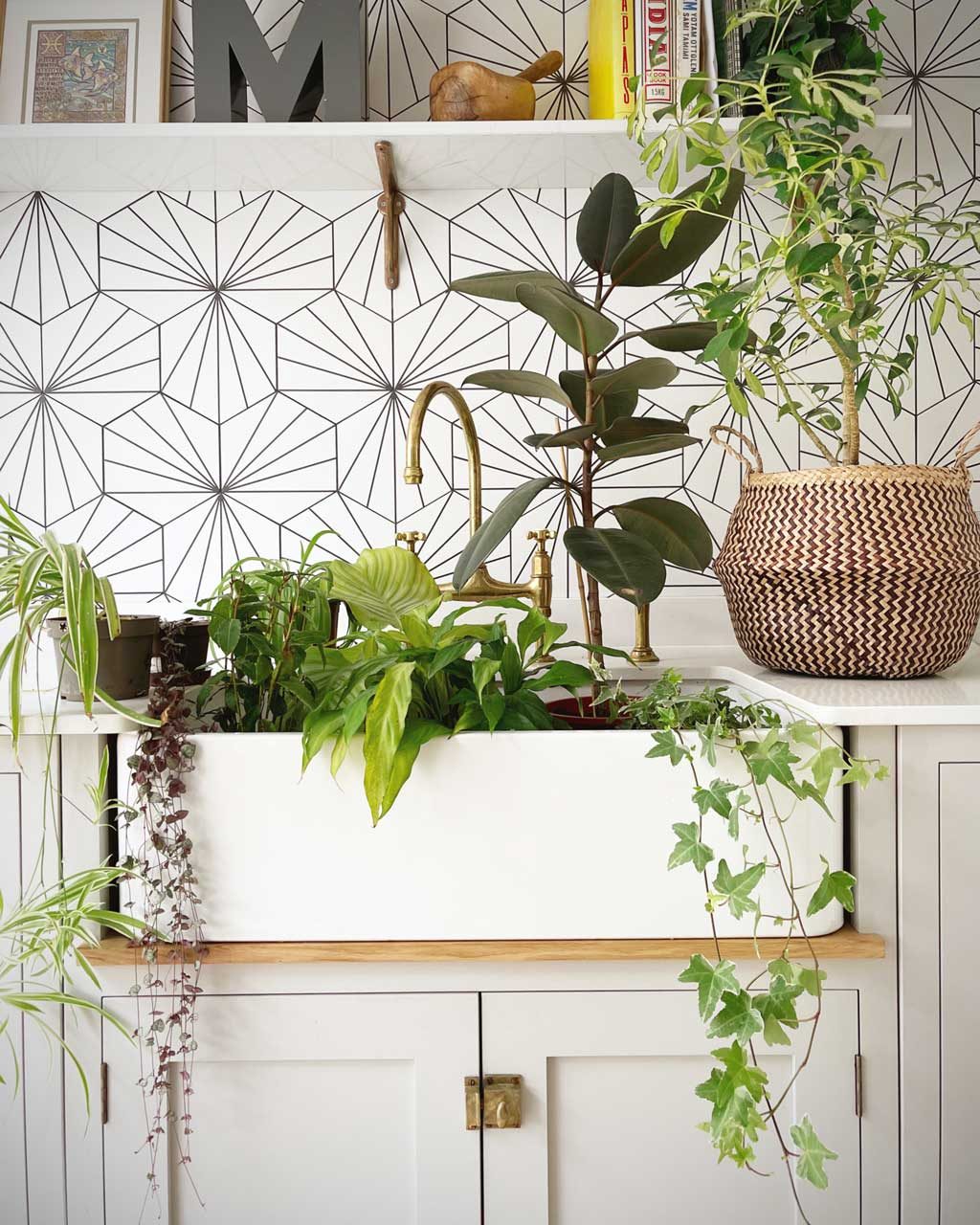 Ways To Bring Biophilic Design Into Your Home Include Indoor Greenery