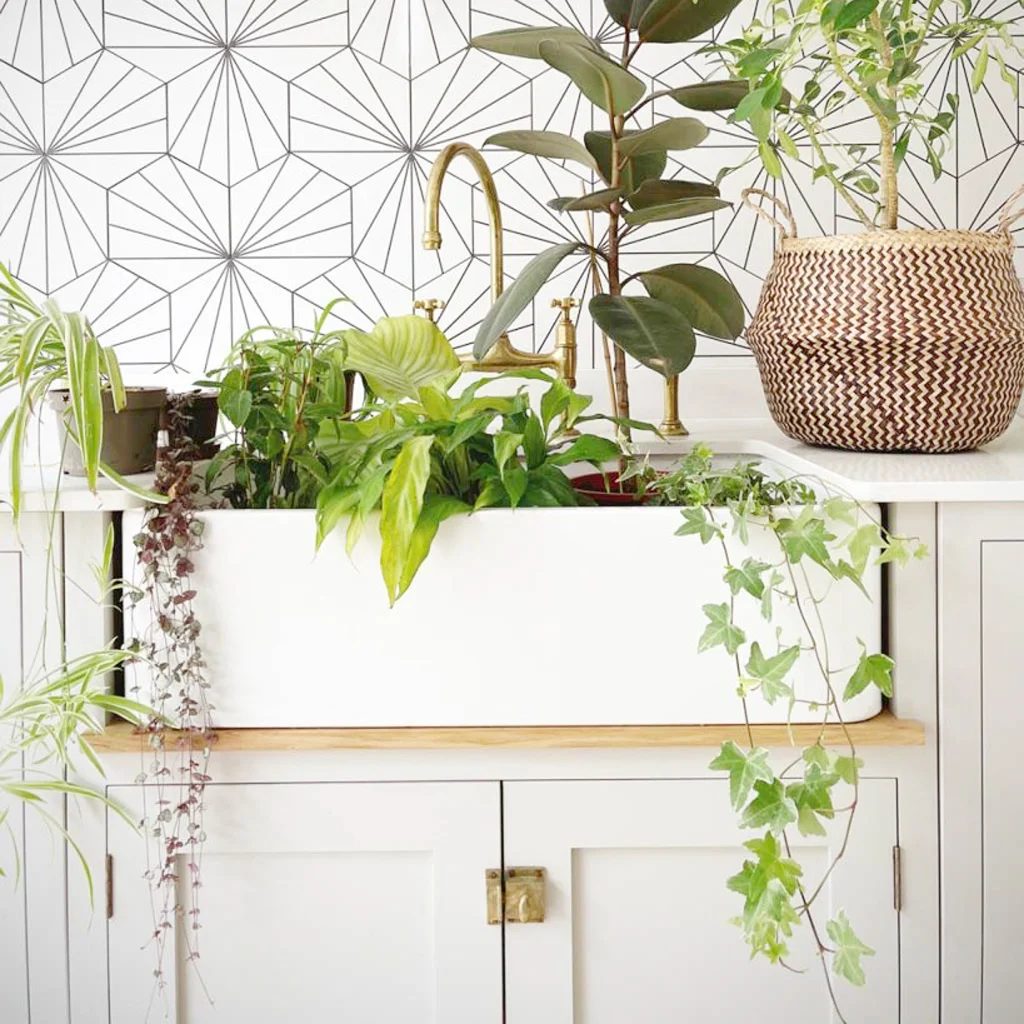 10 straightforward Ways To Bring Biophilic Design Into Your Home