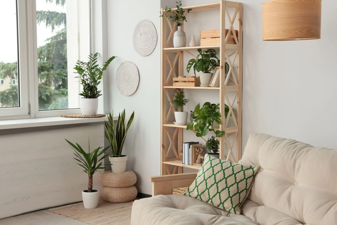 Utilize Wall Shelves Plants