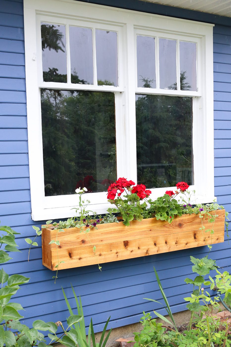 Learn to build a custom cedar cottage window box for just $25 each! Add year-round curb appeal with this straightforward Handmade walkthrough.