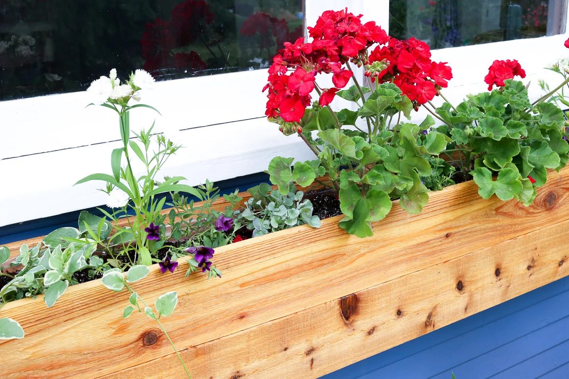Build a Wood Window Box Planter