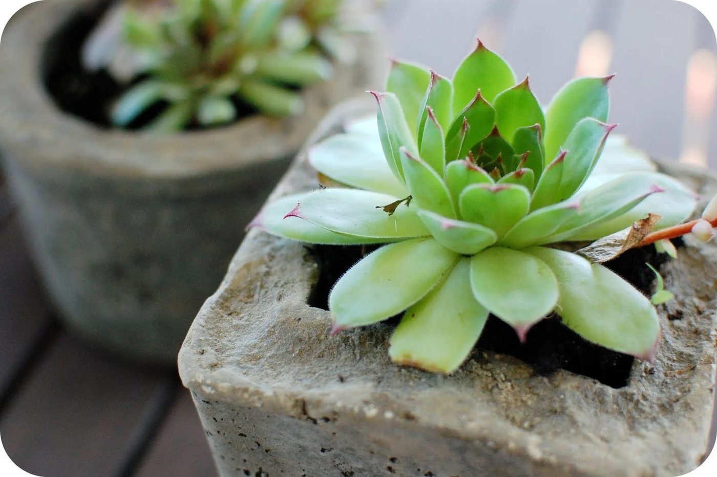 hypertufa lightweight cement planters