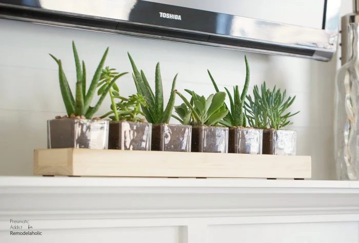Long Wood Glass Diy Planter Close WM