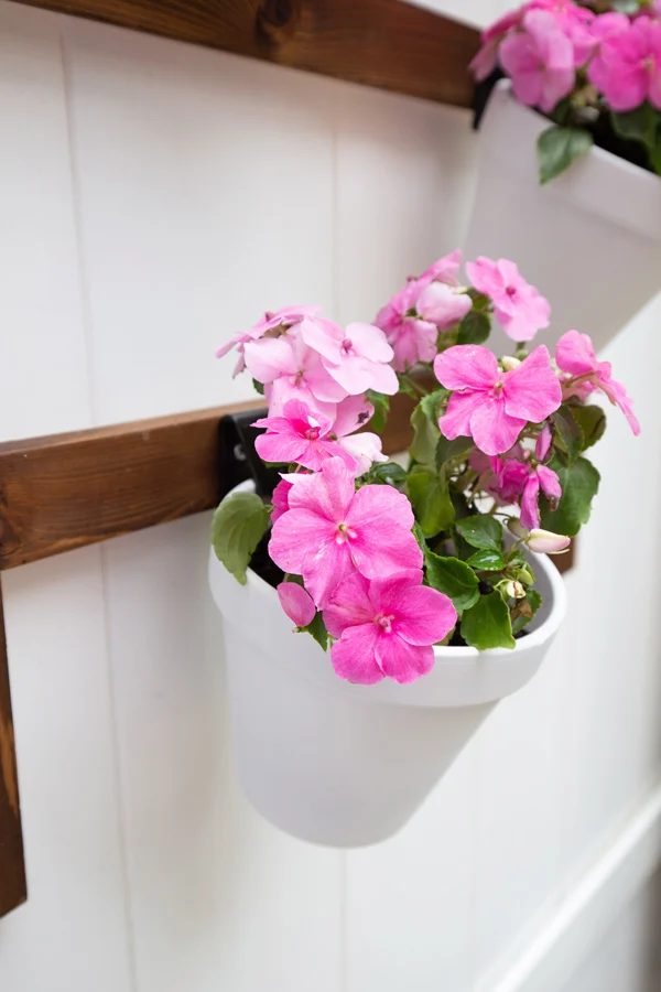 Diy Vertical Wall Planter Ladder Angela Marie Made Featured On Bekob