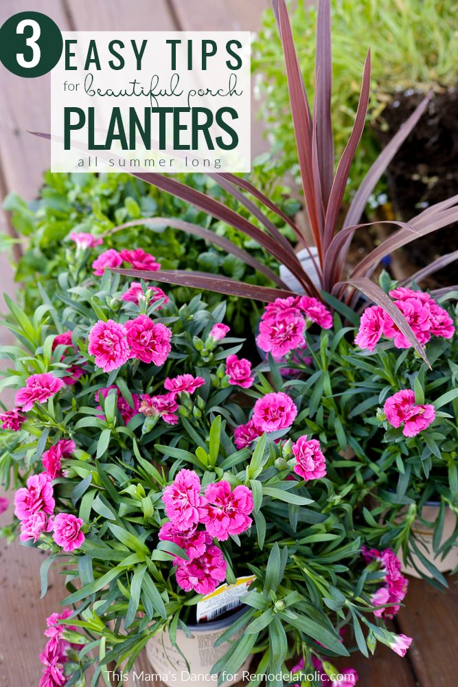3 straightforward Tips For striking Annual Porch Planters All Summer Long #Bekob