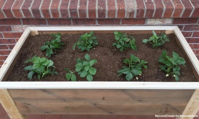 Top view of elevated planter box, MyLove2Create for Bekob