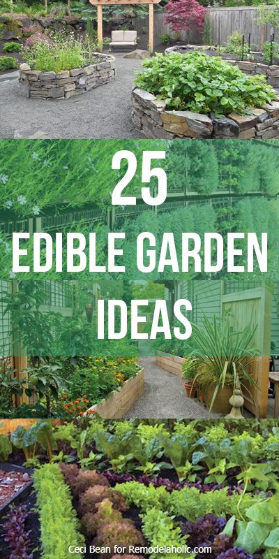 24-edible-garden-options-vertical