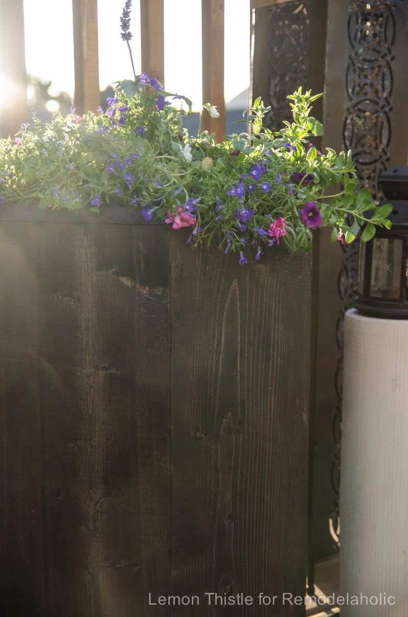 I love this patio hexagon planter made from a 2x8!