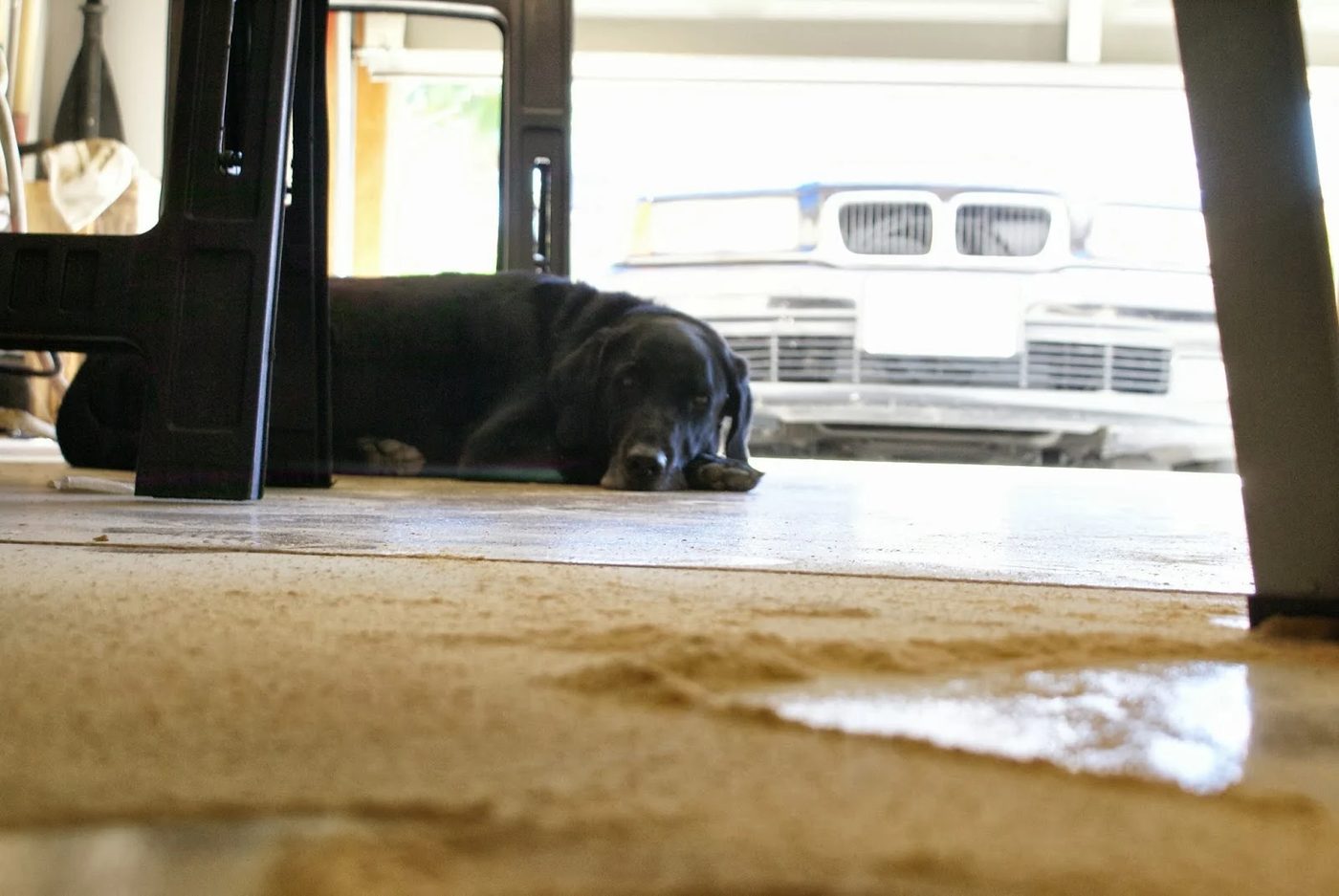 work helper, featured on Bekob