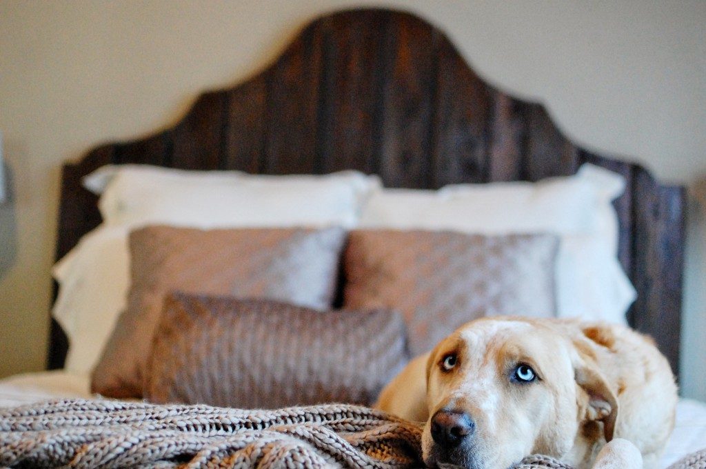 handmade rustic wood bed, The Accent Piece on Bekob