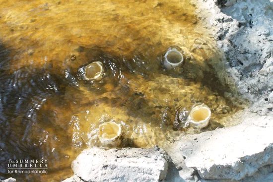 make your own Handmade waterfall on a modest-cost